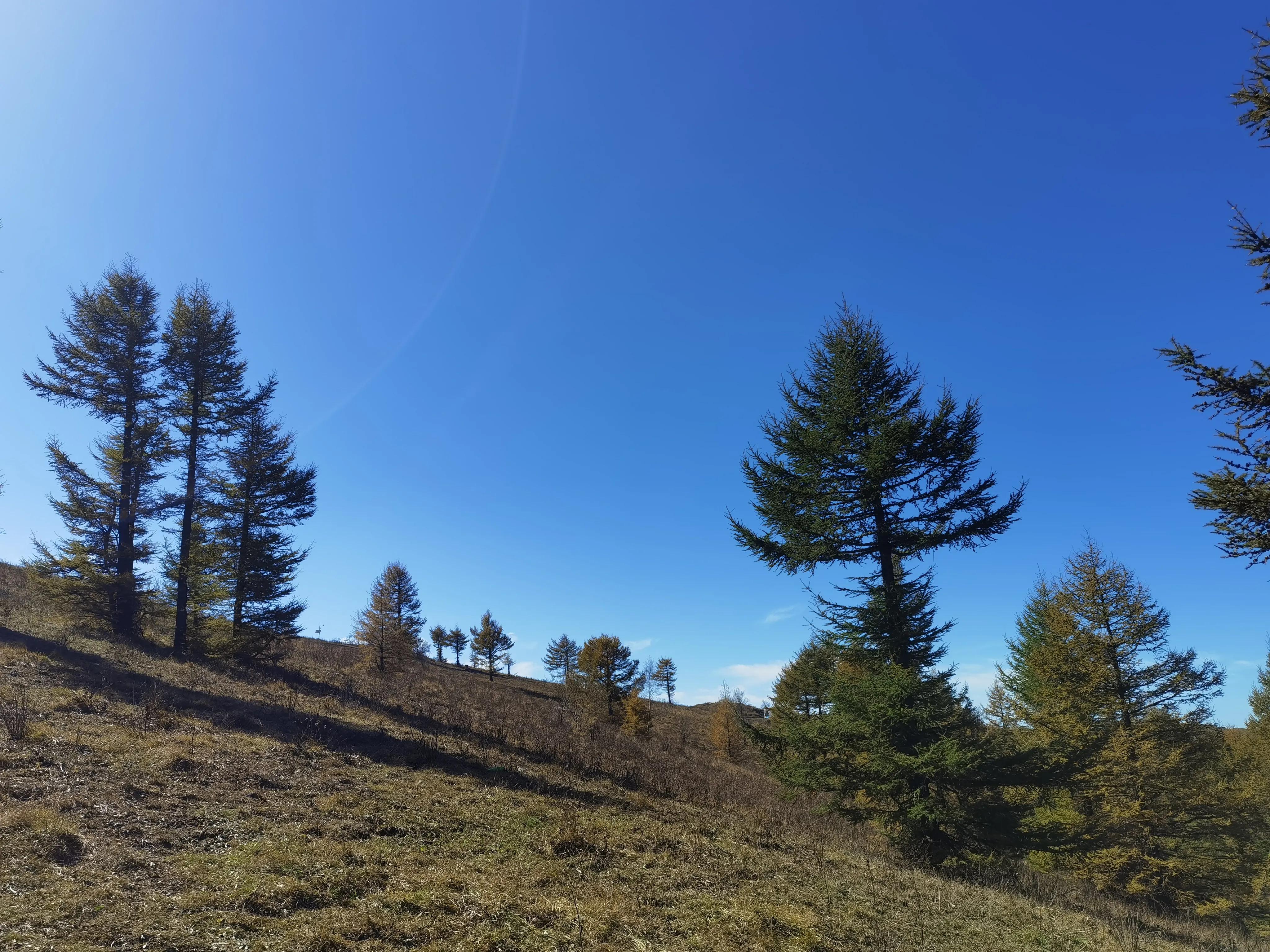 都知夏日驼梁美，秋季呢？阜平花塔村进山带您领略最美的秋日驼梁