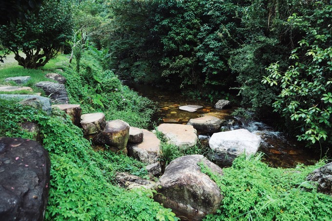 梅州采茶,梅州采茶体验