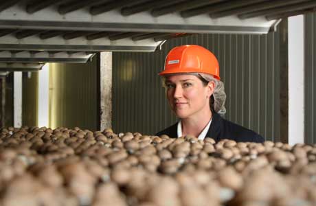 外国人有蘑菇吃吗,外国人吃中国蘑菇