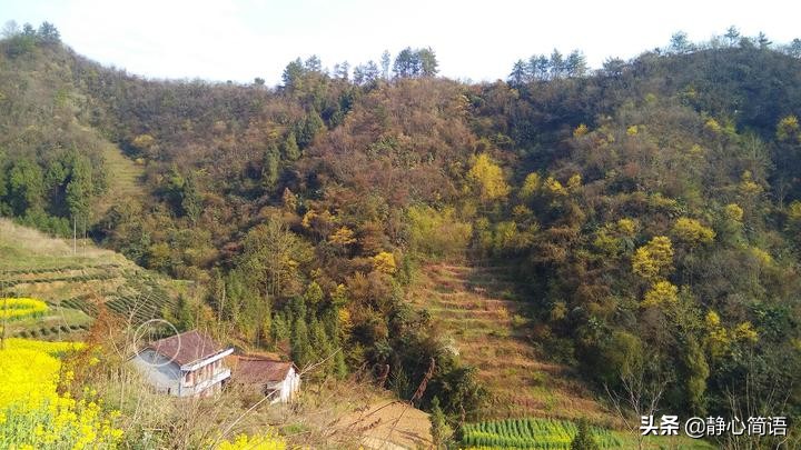 期待秋天的夜晚,期待秋天的雨