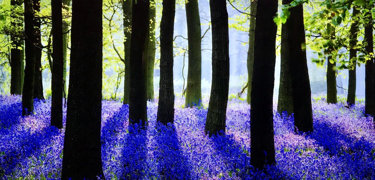 lg超薄oled电视评测,外观设计非常绚丽又亮眼