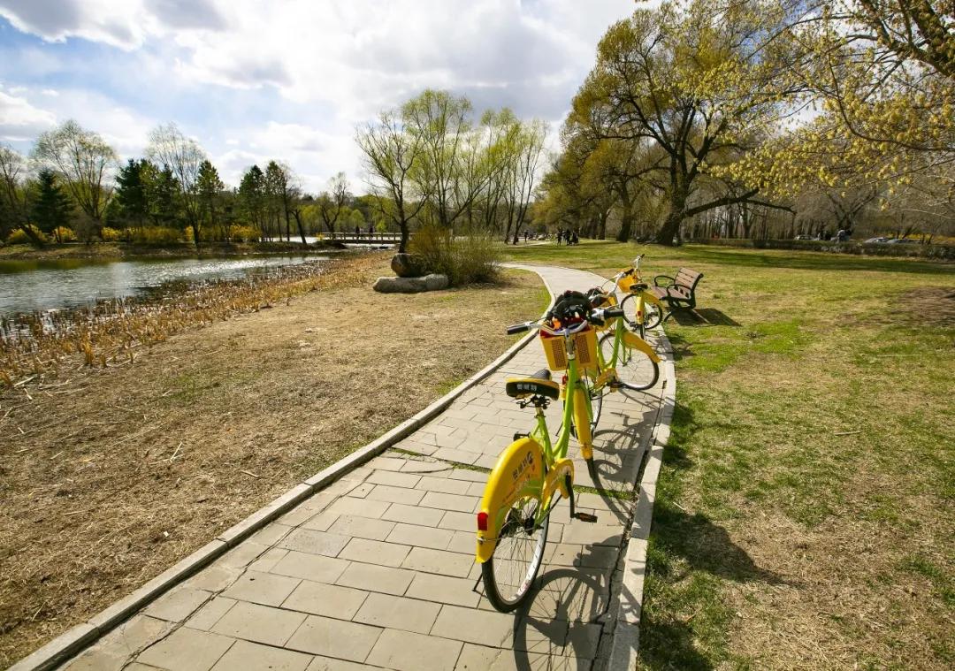 净月潭今天营业吗,净月潭景区开园了吗