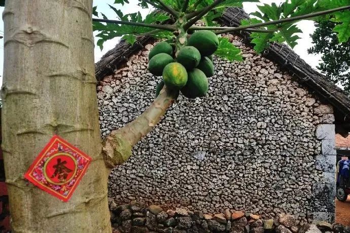 距海南仅20km，这个处女地比台湾风情、比三亚便宜，你错过了吗？