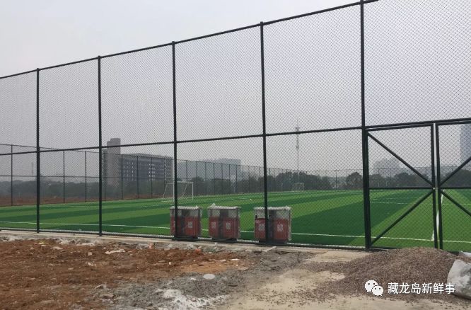 武汉江夏区藏龙岛今天的消息,武汉藏龙岛湖最新消息