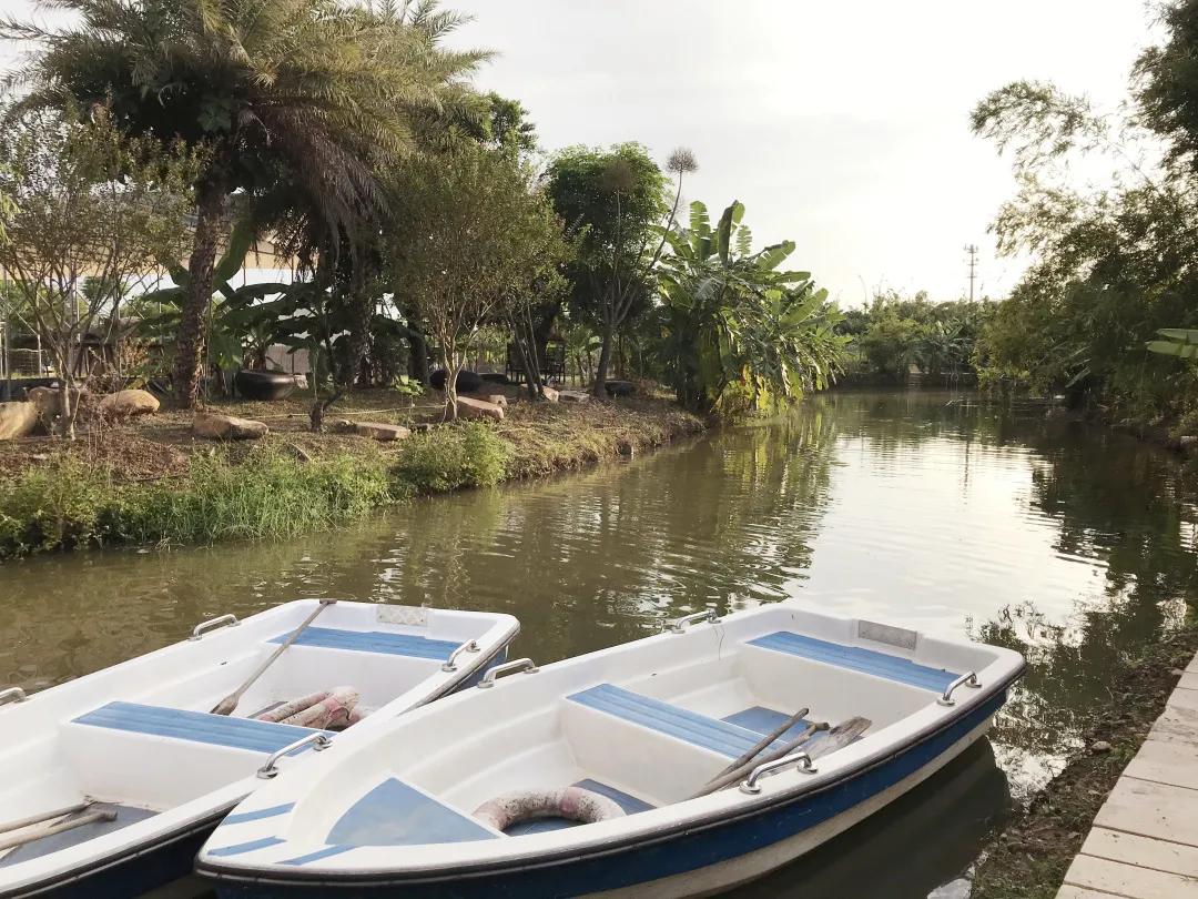 人气最旺的亲子农场,世外桃源亲子农场探店