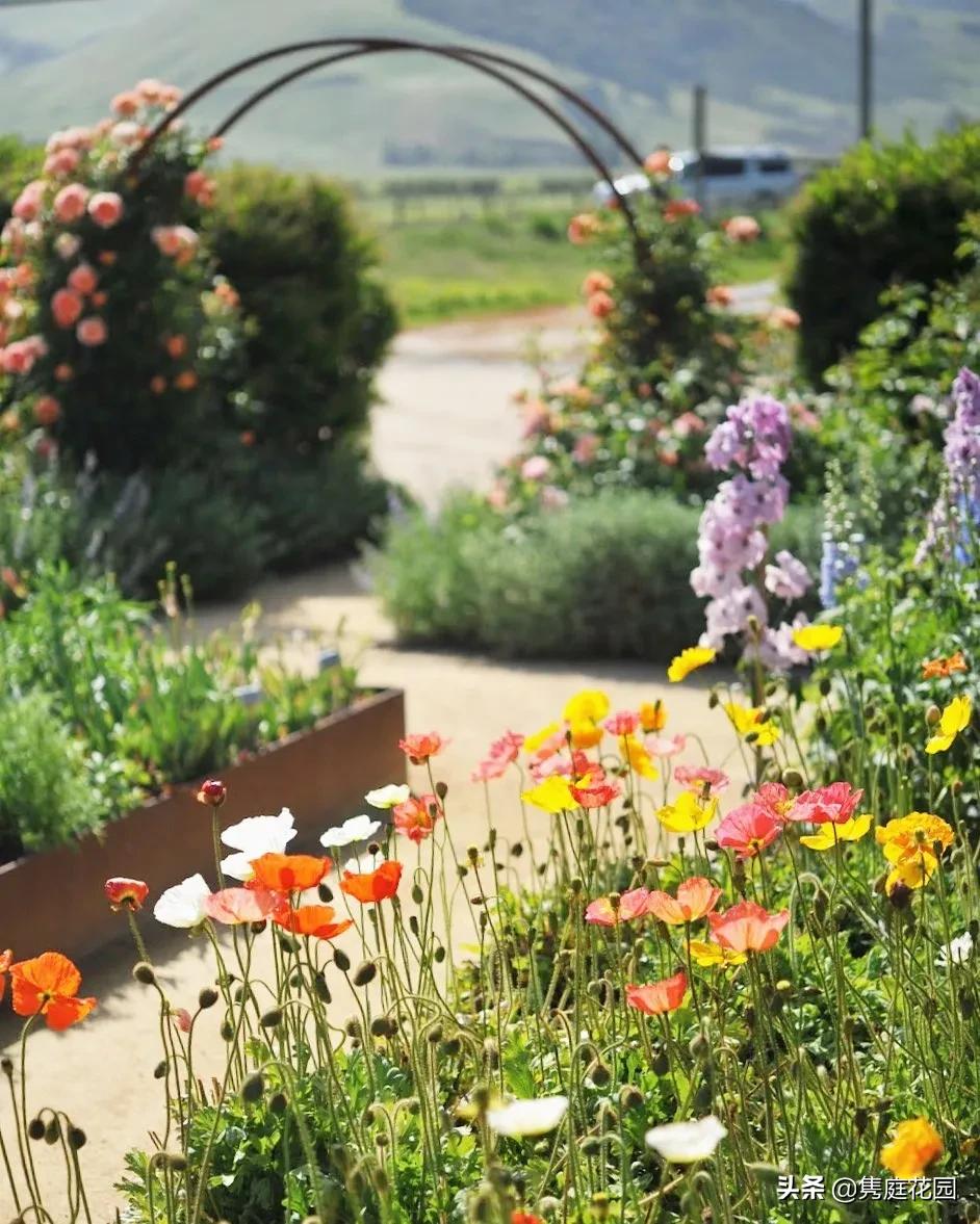 丰富又有趣的花园,花园是最能带给你身心愉悦的地方