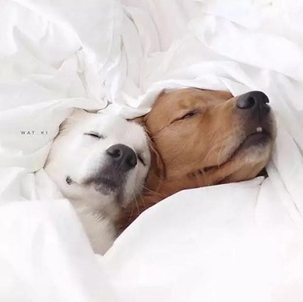 少年感妆面简单,一把刷子高级又精致