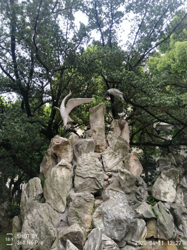 安庆海军116医院影像科,海军安庆116医院属于部队吗