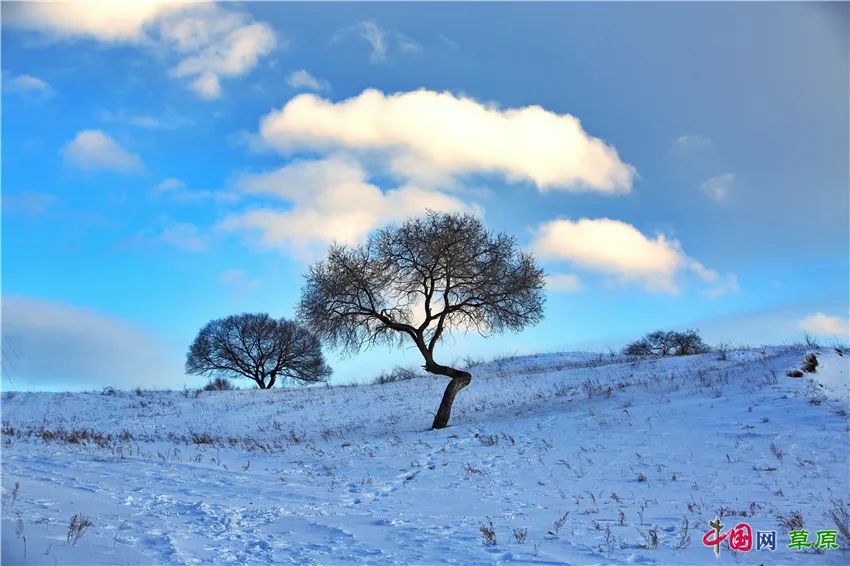 一起去看美丽的坝上草原,秋季坝上草原游记