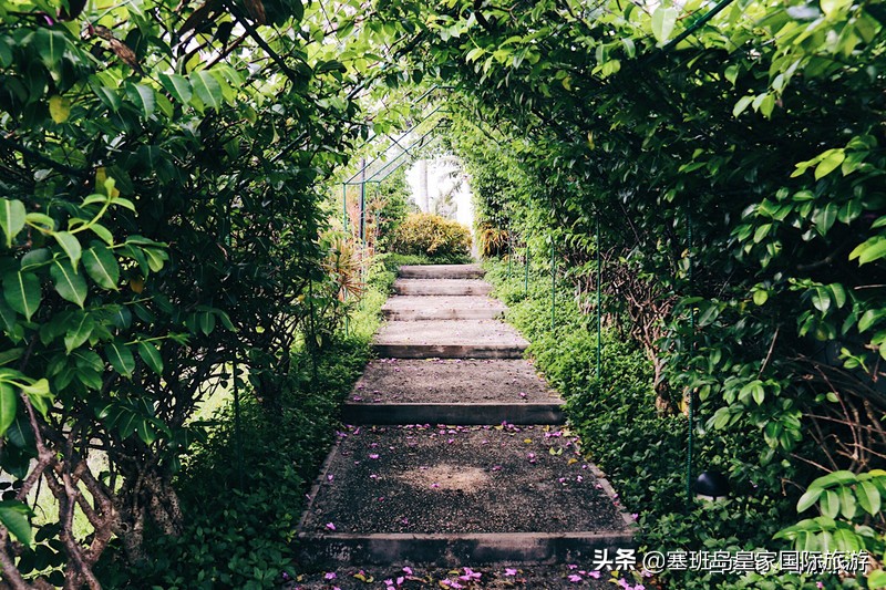 塞班岛最好的酒店的价格,塞班岛哪个酒店水上乐园好玩