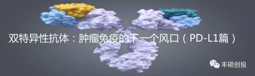 和铂医药是上市公司吗,和铂医药地址