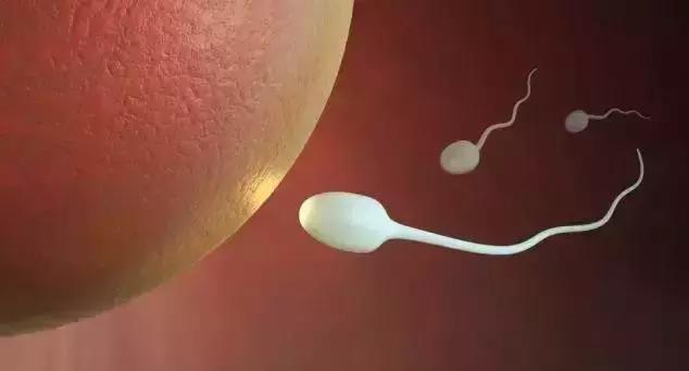 女人最佳生育能力年龄,女性生育力的分水岭