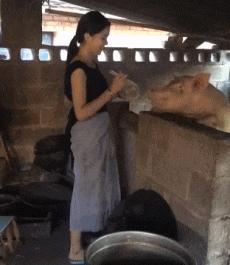 每日一笑998,每日一笑精彩评论