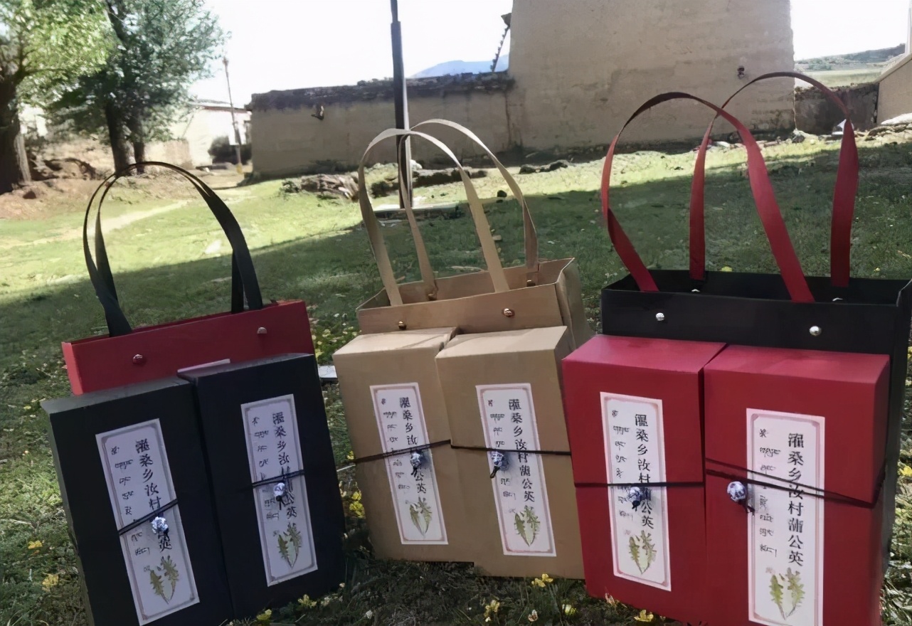 丁真火之前做了什么贡献,丁真没火之前在干什么