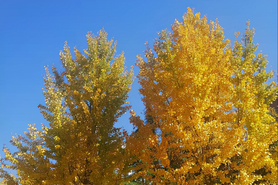 冬季衣服静电如何消除,小孩经常被静电电到是怎么回事