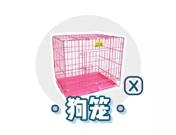 萌新应该养什么便宜宠物狗,萌新怎么入门宠物技能