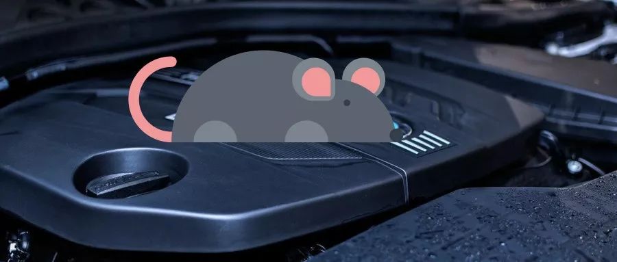 为什么老鼠喜欢藏在汽车发动机,老鼠为什么会钻到车里