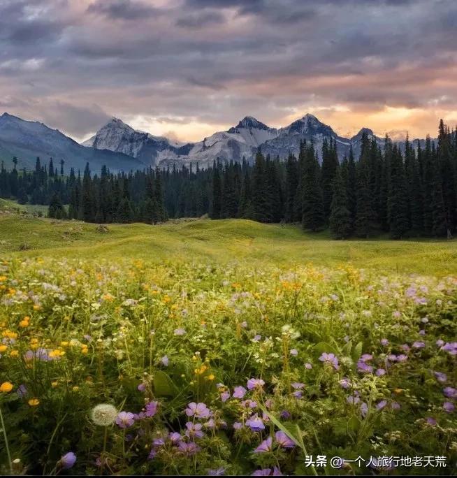 治愈系风景一辈子总要去一次新疆,去新疆的路上看不一样的风景
