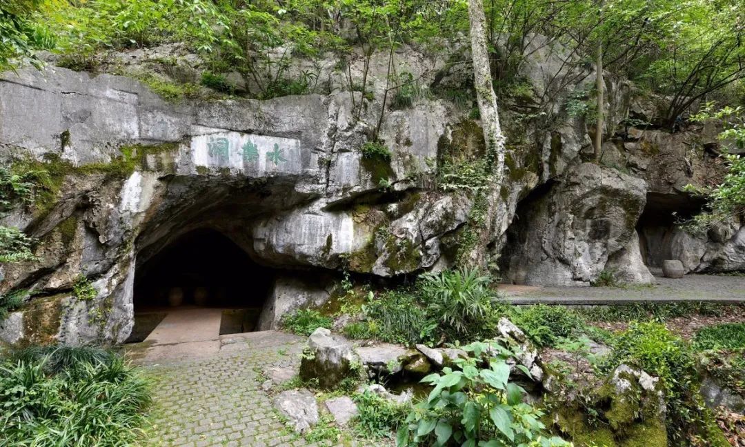 欣赏西湖的全景太美了,西湖美景实在美怎么也看不够