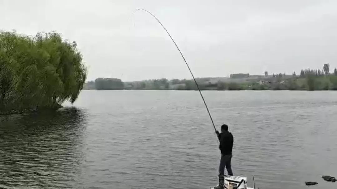 1.0子线遛十斤大鲤鱼,野钓10斤鲤鱼遛鱼技巧