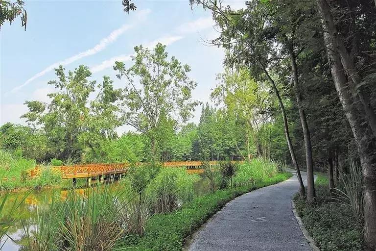 3月底天府绿道哪段最美,天府绿道介绍及特色