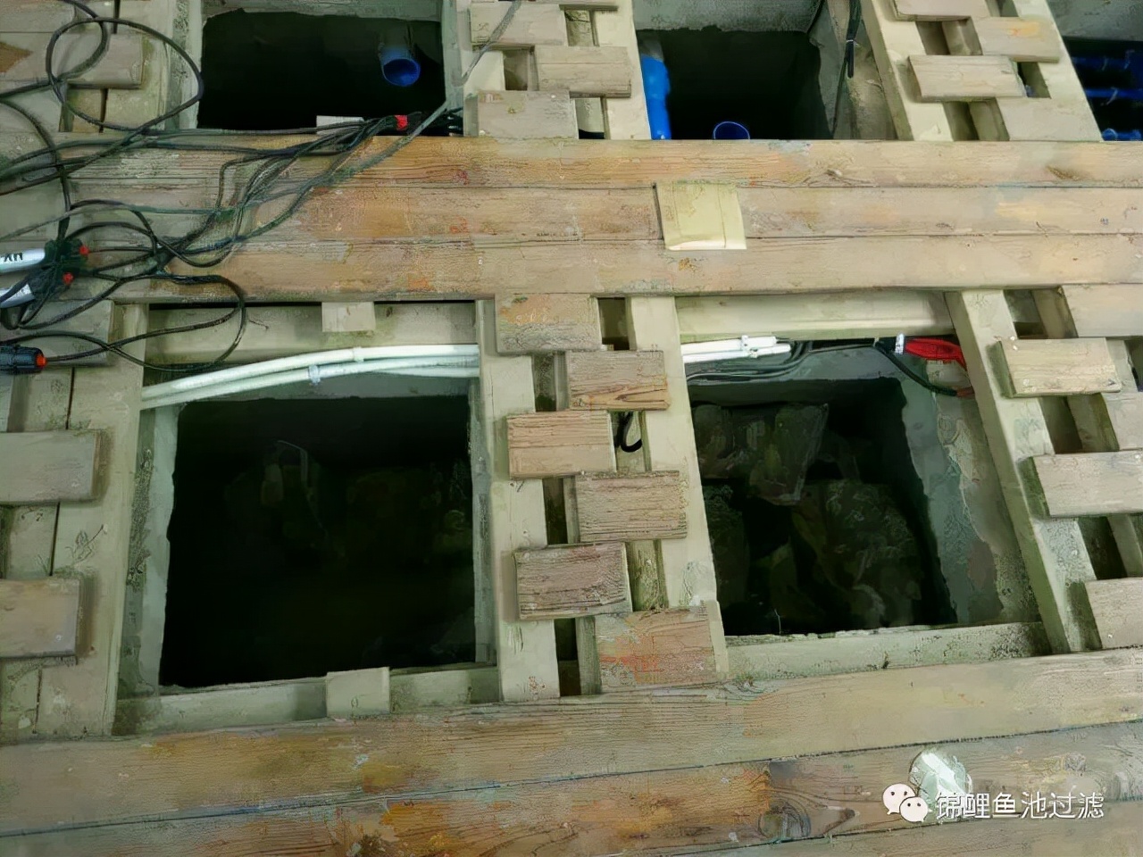 养锦鲤用过滤桶过滤系统,锦鲤鱼池沼泽过滤与生物过滤