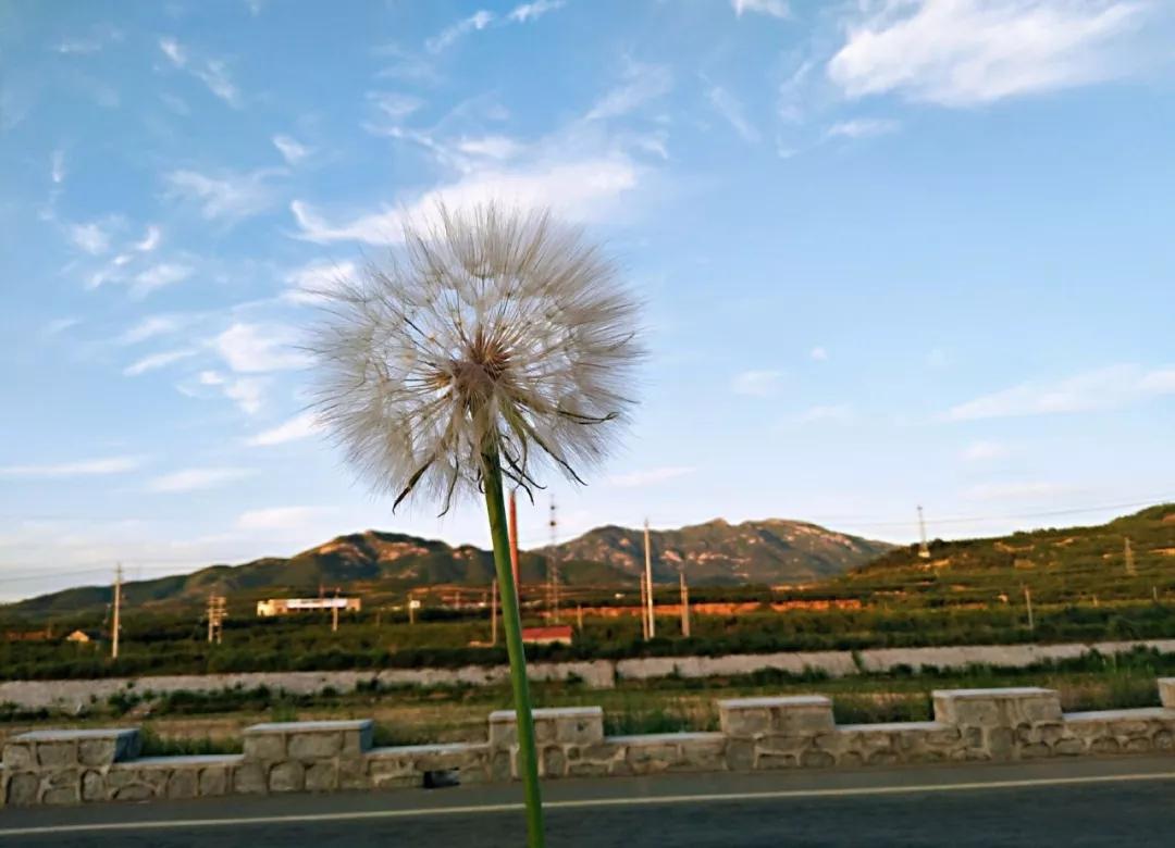 今年夏天的旅行计划,2022旅行愿望清单