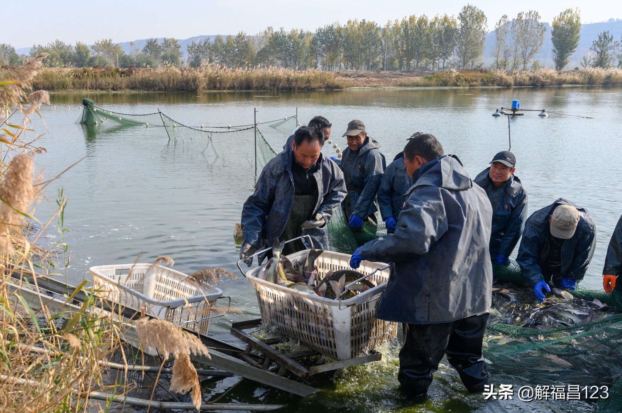 农村承包鱼塘养鱼一年能赚多少钱,5000亩的鱼塘养鱼一年能挣多少钱