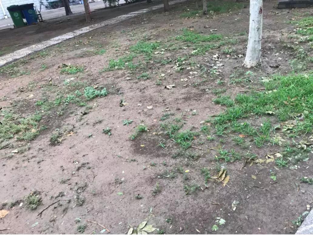 新划进光明中学的这个老小区，位置真好！还不贵