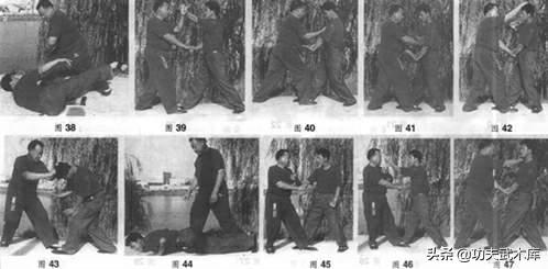 形意拳鼍形,武术象形拳之鸭子拳