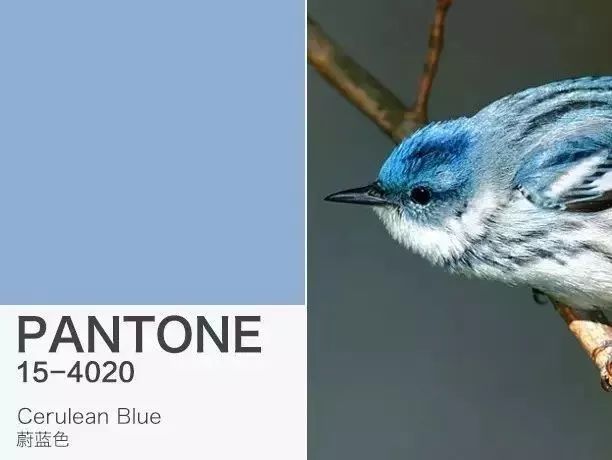 pantone潘通色号,pantone潘通发布2016年度流行色