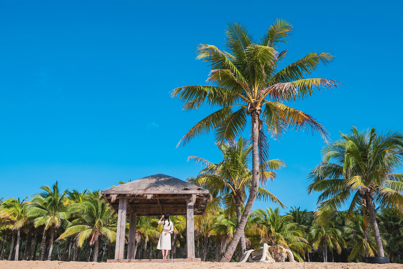 你在南方瑟瑟发抖，我在这里遛娃、看猴、赶海····