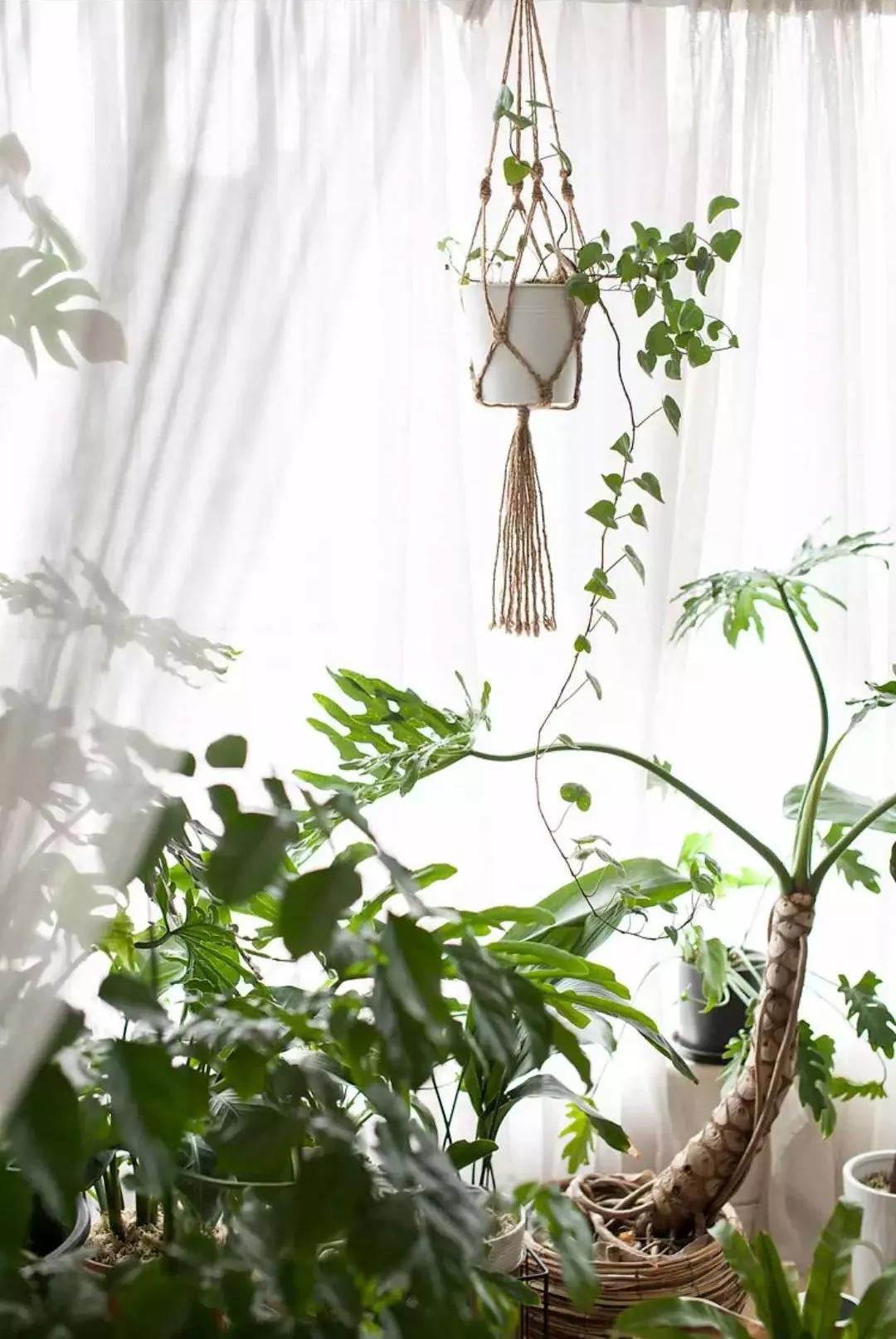 小夫妻98㎡家意外走红!登北京地铁广告,这个家才是都市里的奢侈