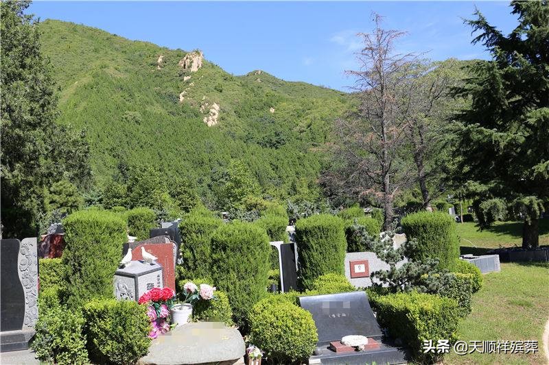 向私人购买墓地的四大注意事项,购买墓地的注意事项