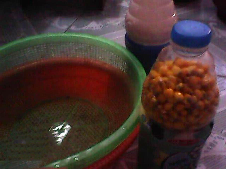 为什么都用玉米钓鱼,为什么用玉米一直钓到罗非鱼