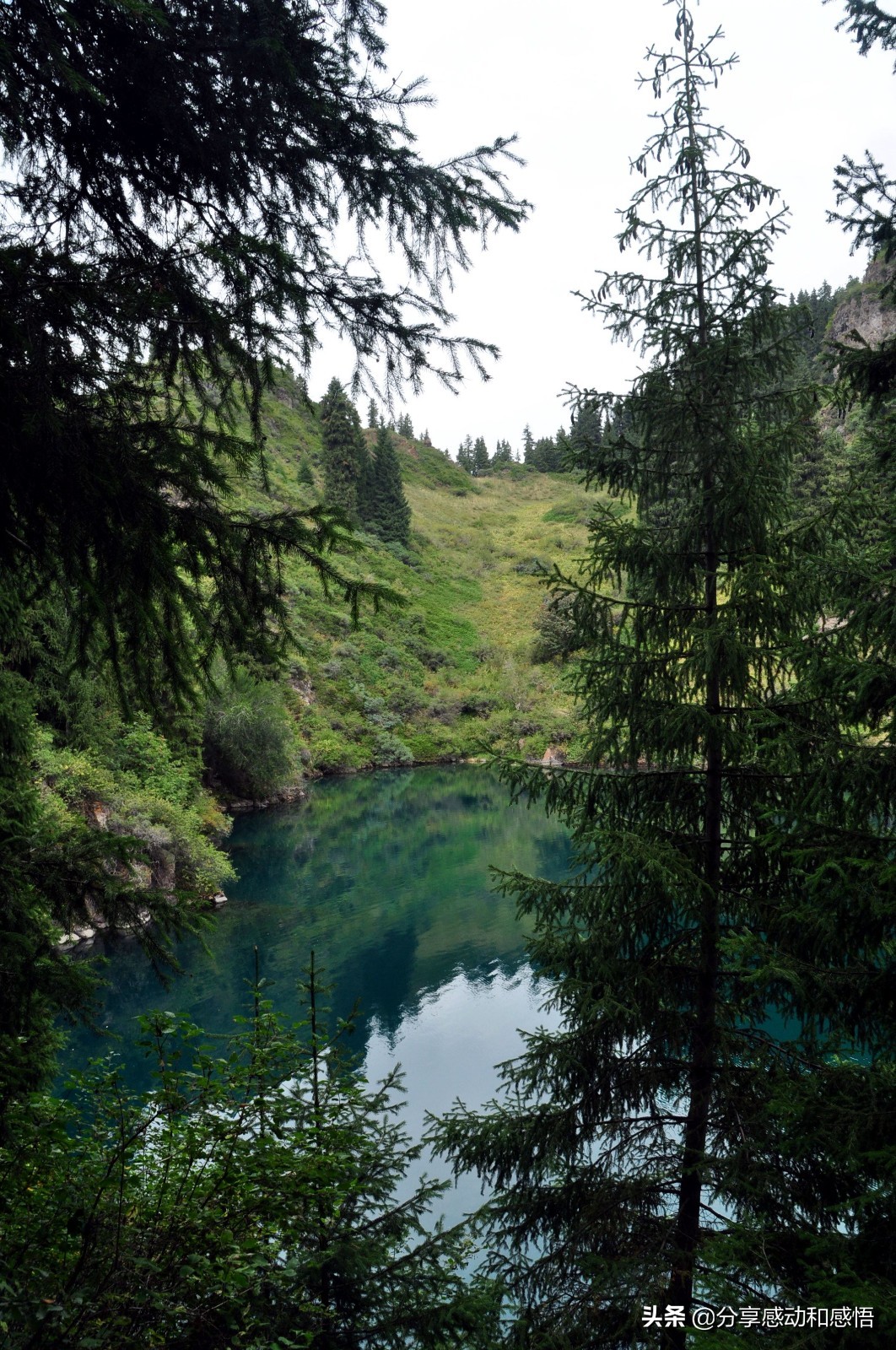 *疆新**汽车窗外的光影世界：斑驳陆离风光美，亦梦亦幻疑成仙