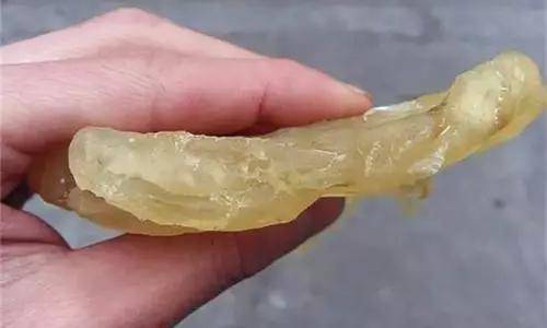 鱼胶知识大全视频,最全常识看完涨知识