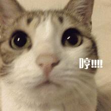 敷尔佳虾青素面霜怎么样,敷尔佳虾青素好吗