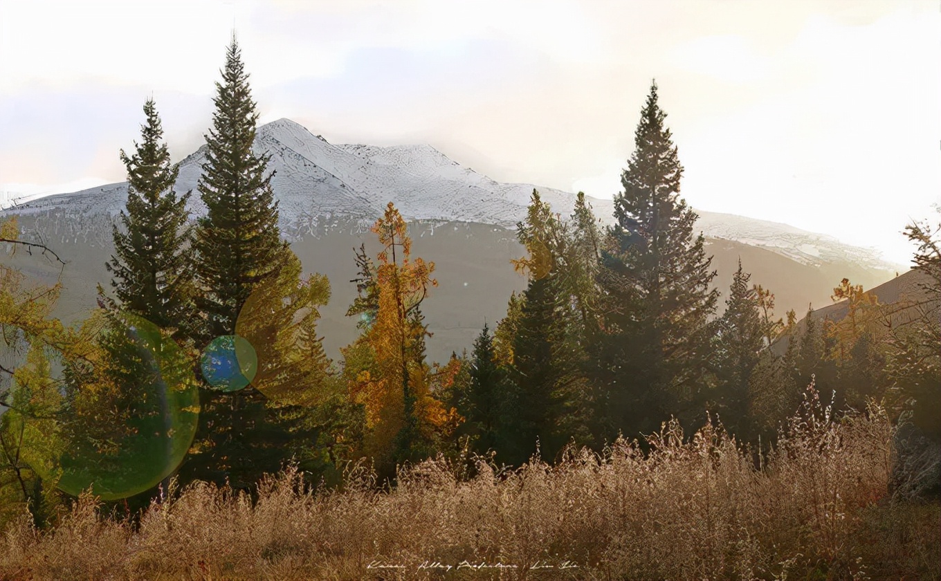 北疆四季,北疆的四季美景