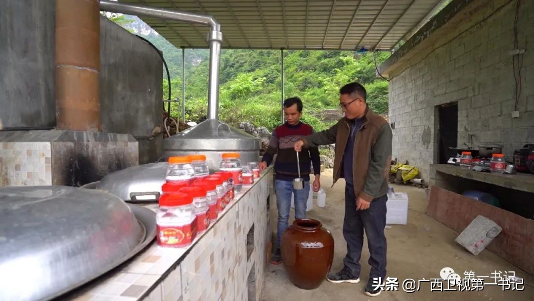 广西天等指天椒出名,广西天等指天辣椒种植