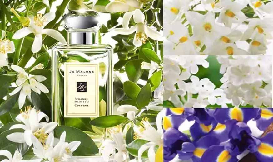 祖马龙香水测评,祖玛珑红玫瑰香水测评