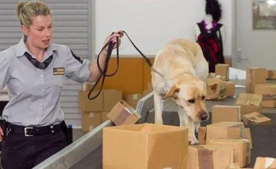 心血整理！过签后你必须了解的入境法则（包含多国）