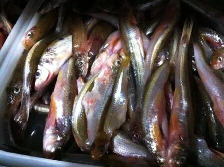 古镇故事大全完整版,古镇街景故事视频