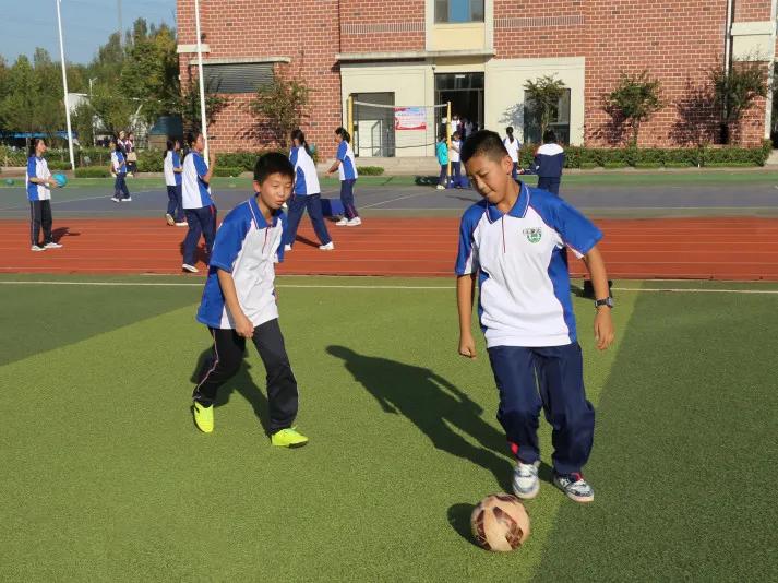 271教育适合什么样的孩子,271教育理念