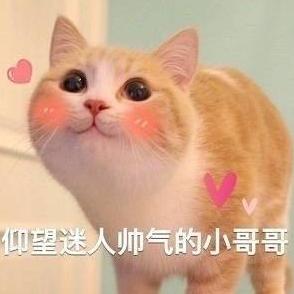 荒野乱斗2021大巴黎挑战赛,荒野乱斗足球模式小角度射门