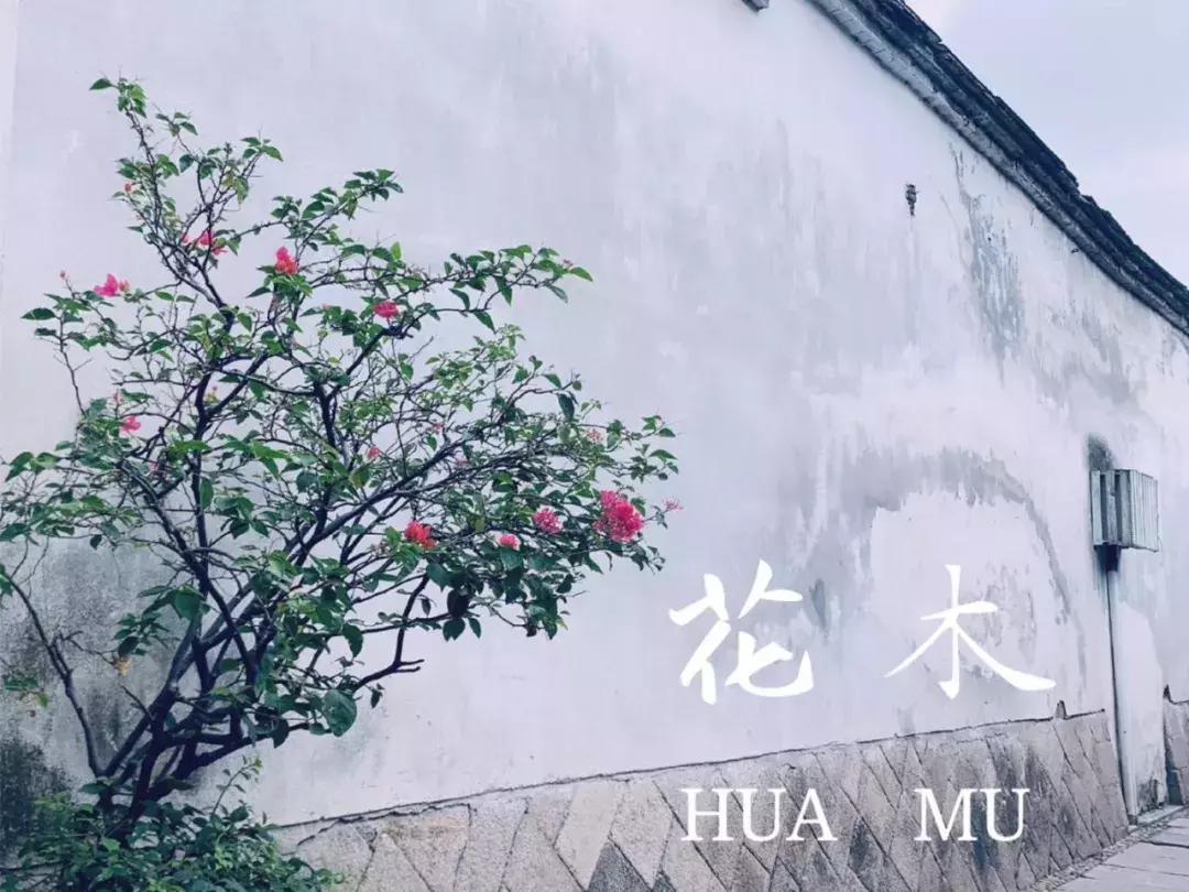 婧簮涓滄柟缇庡鐢熸椿,婧簮涓紡椋庨