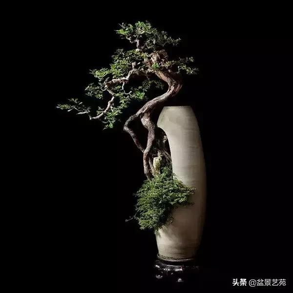 西泠印社砚台最高价拍卖记录,杭州西泠拍卖盆景