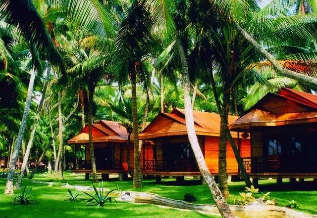 海南东郊椰林风景素材,海南文昌椰林风景