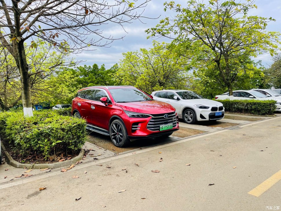 成都人会玩的景点,成都凤凰山公园可以爬山吗