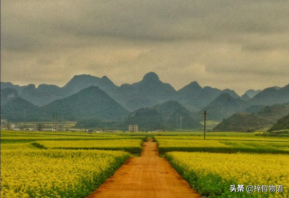 知乎摘录精彩问答56条，读后让人豁然开朗！